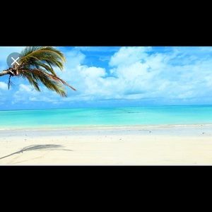 Meet your Posher, Luis